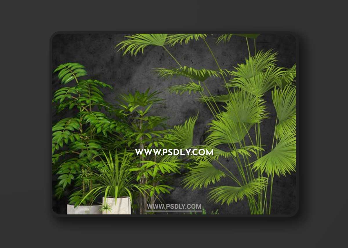 Room plant 3D Model