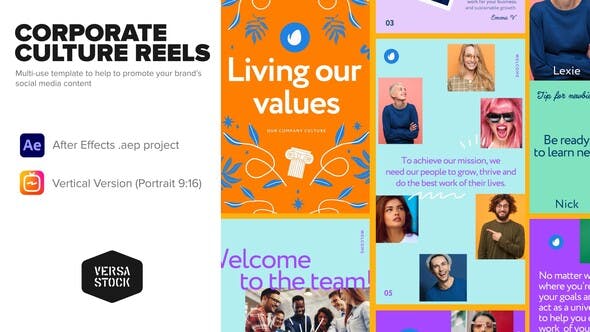 Videohive Vertical Corporate Culture Book Stories 33838652