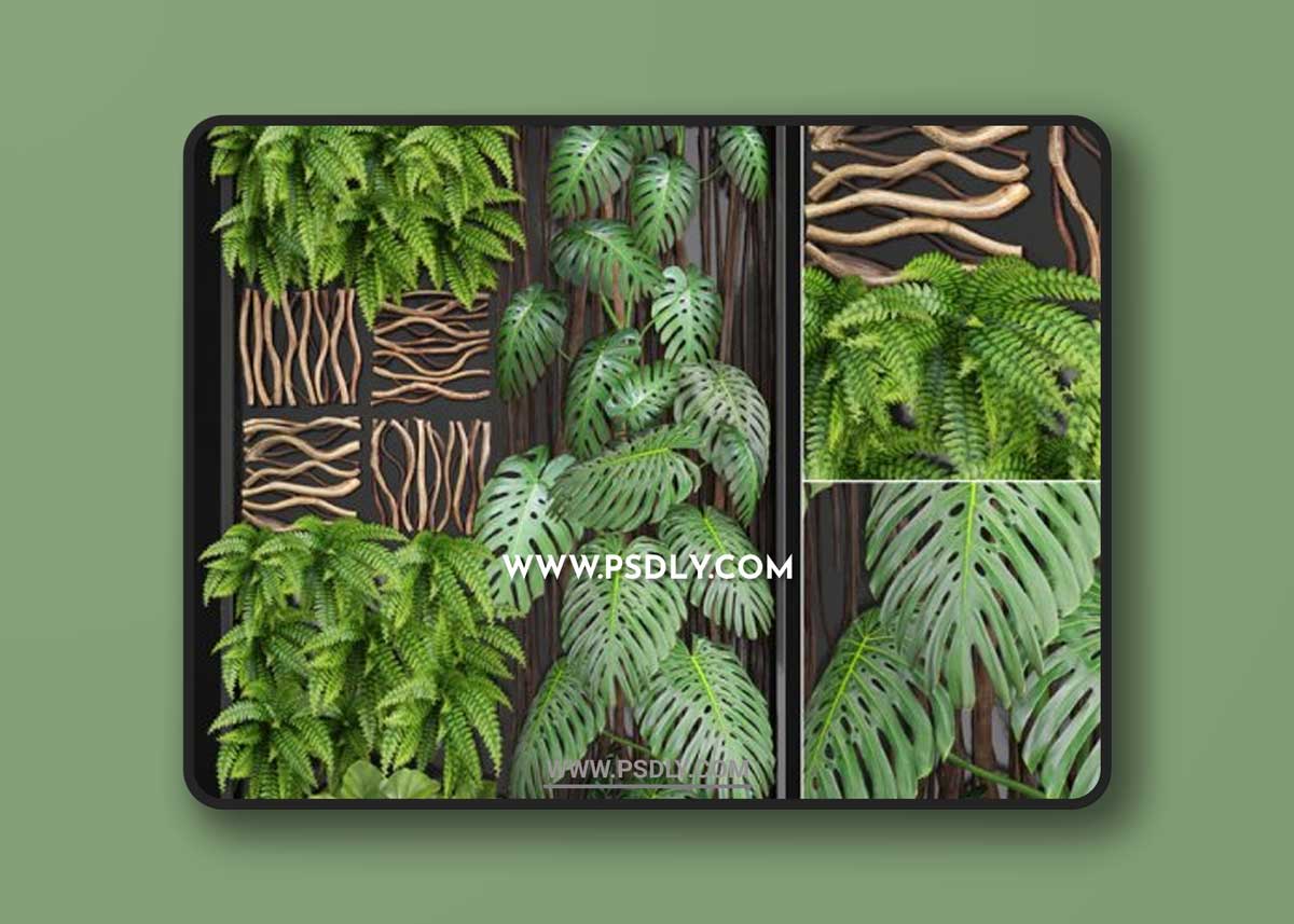 Vertical garden 2