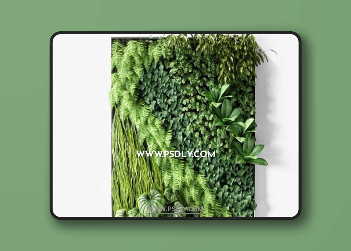 Vertical garden 15