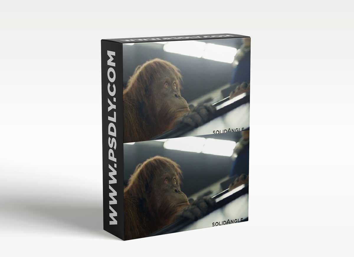 Arnold for Maya 5.0.0 [WIN]