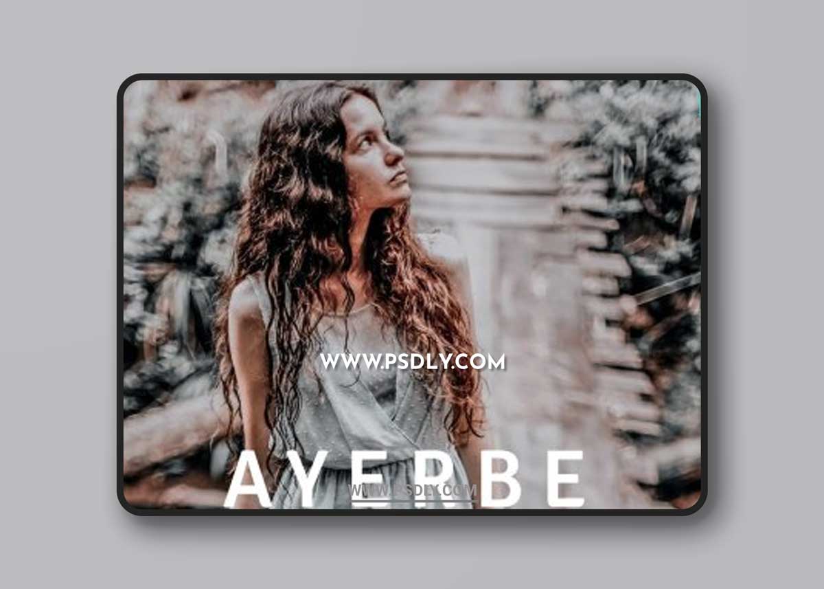 Ayerbe Lightroom Presets Dekstop and Mobile