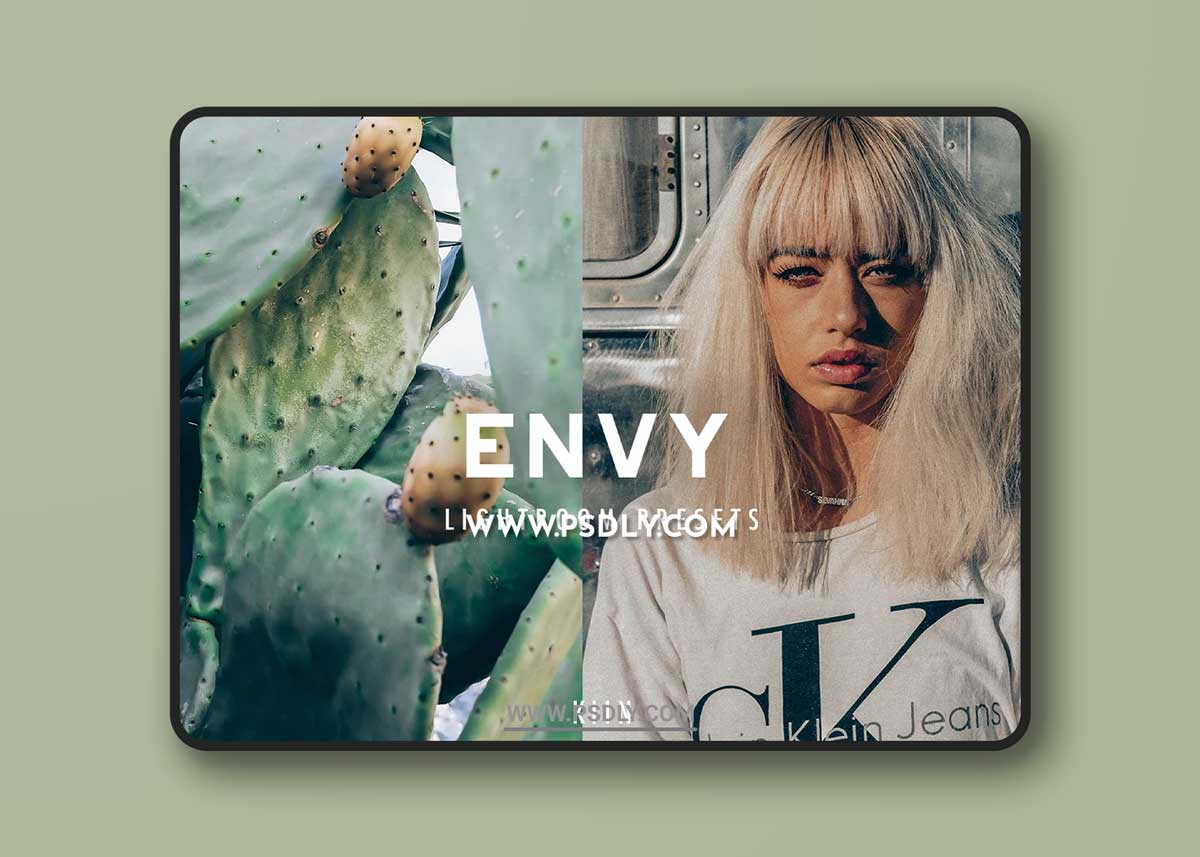 CreativeMarket - 7 ENVY LIGHTROOM PRESETS 6450078