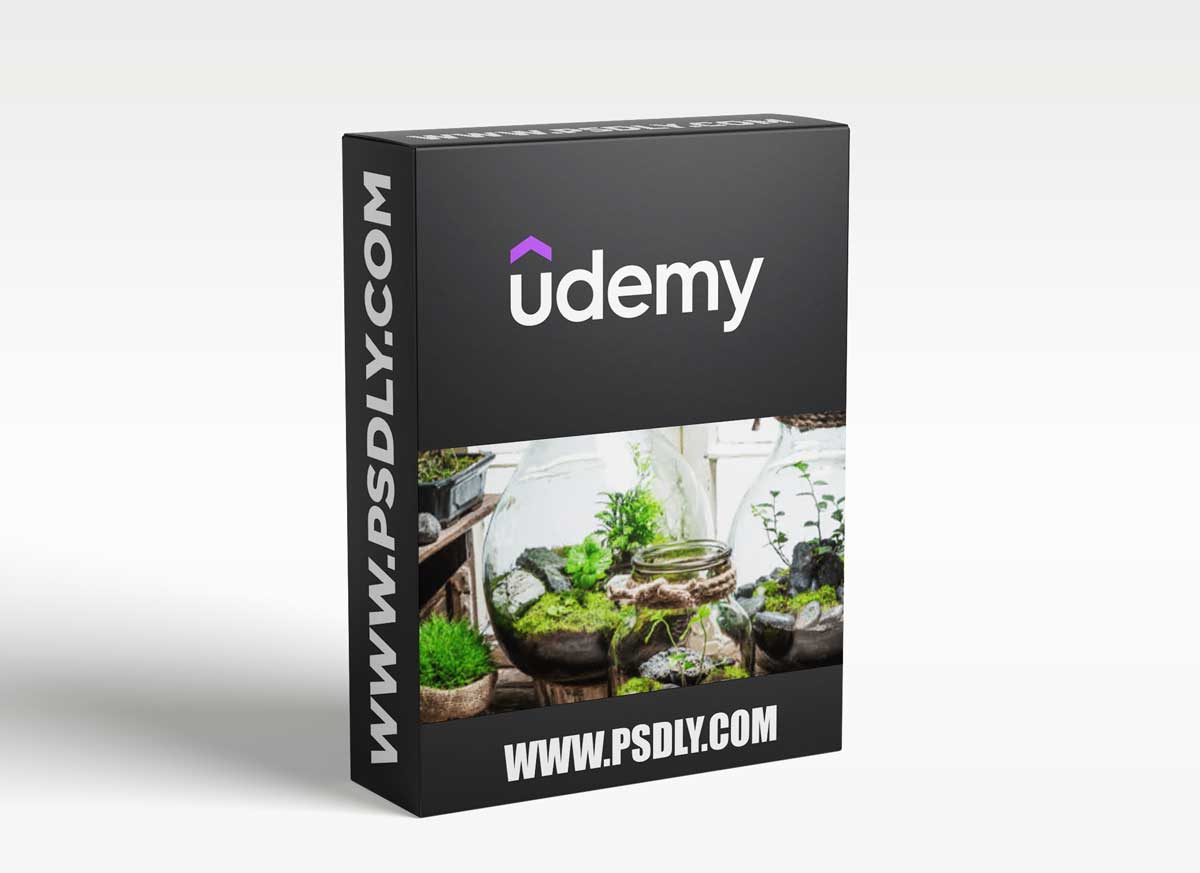 KhetiBuddy's DIY Terrarium Workshop