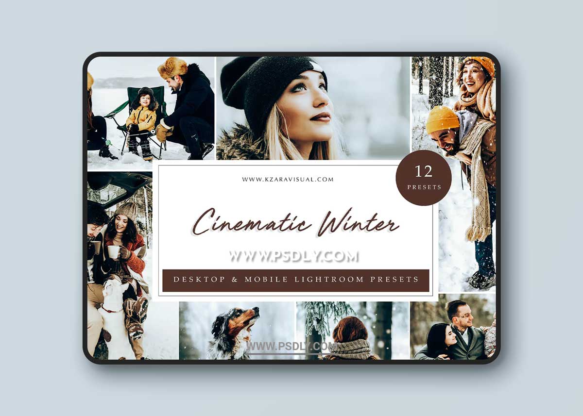 Lightroom Presets - Cinematic Winter