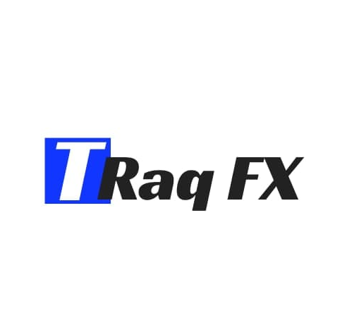 TraqFX – Course To Success Download 2 image 63