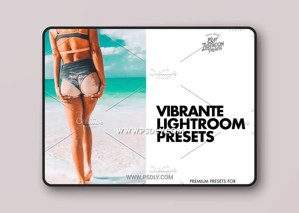 CreativeMarket - Lightroom Presets Vibrant Colors 6151981