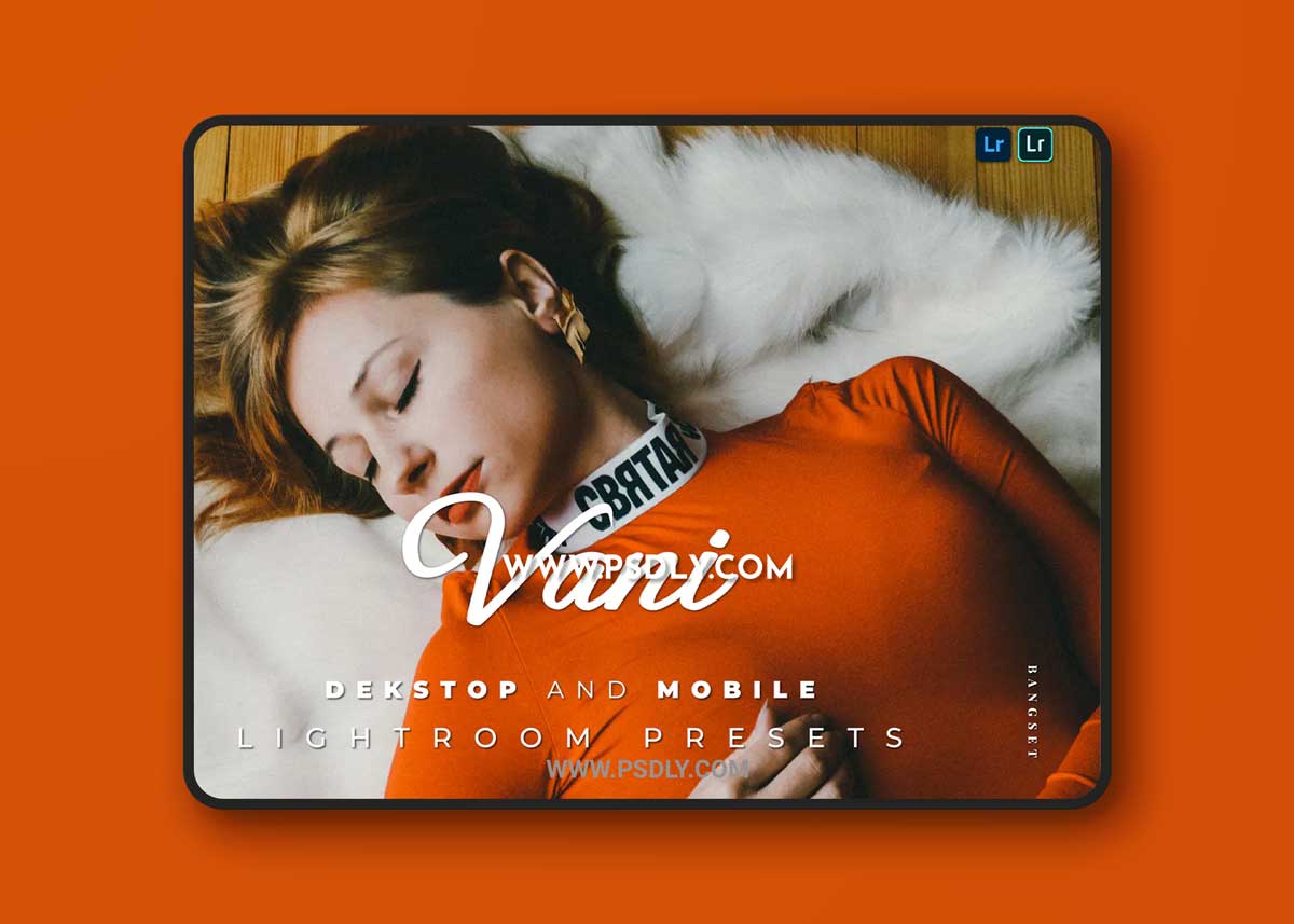 Vani Desktop and Mobile Lightroom Preset