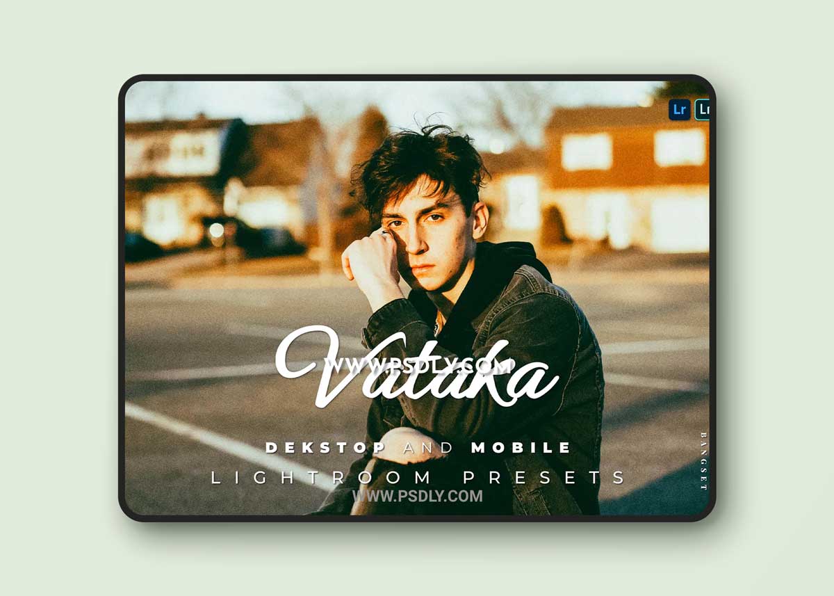 Vataka Desktop and Mobile Lightroom Preset