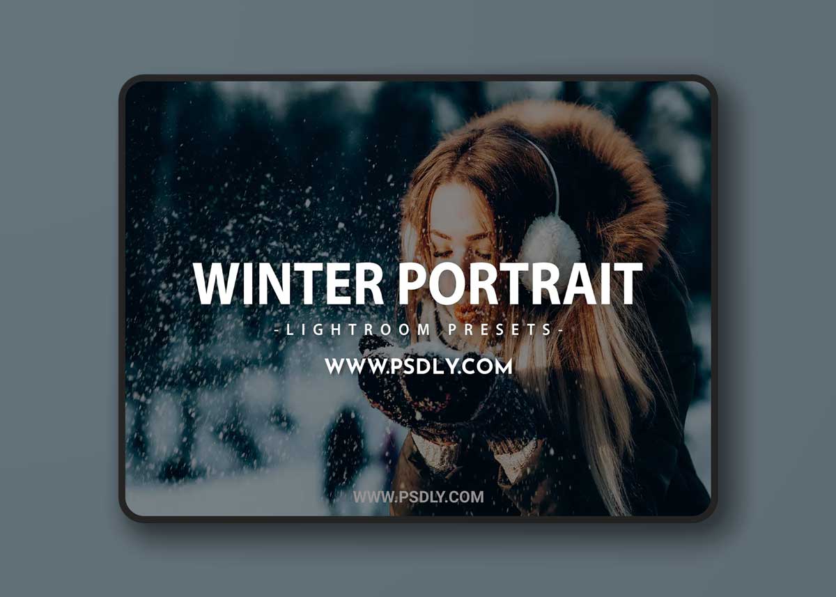 Winter Portrait Lightroom Presets