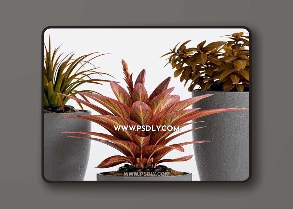 PLANT -17 3D Model
