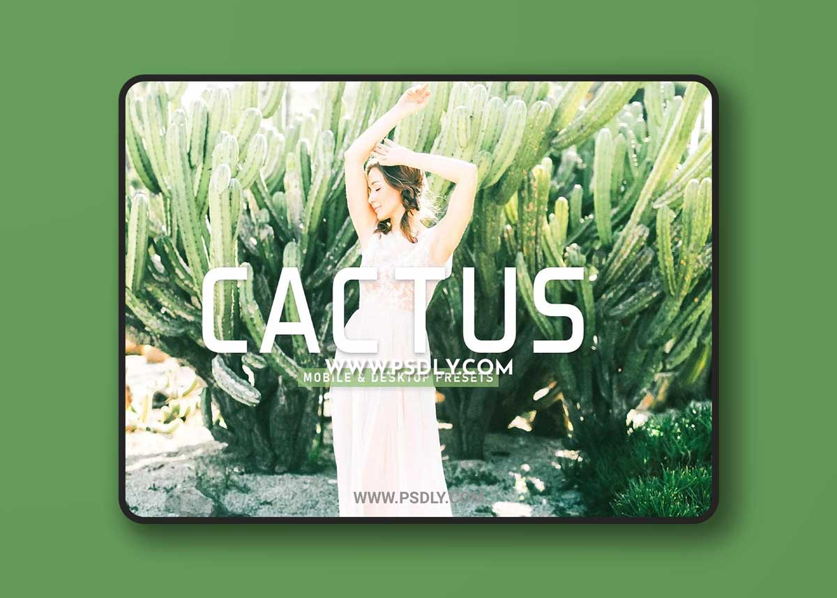 CreativeMarket - Cactus Pro Lightroom Presets 6923110