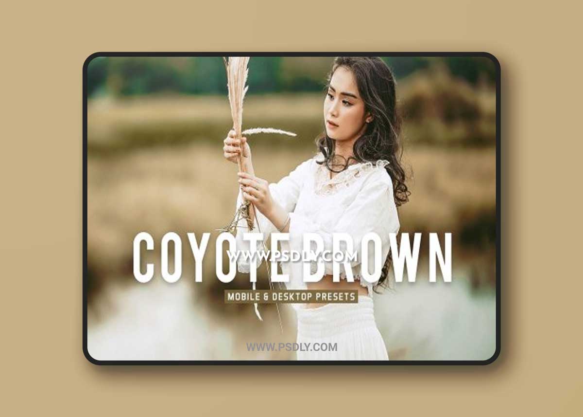 CreativeMarket - Coyote Brown Pro Lightroom Presets 6898009