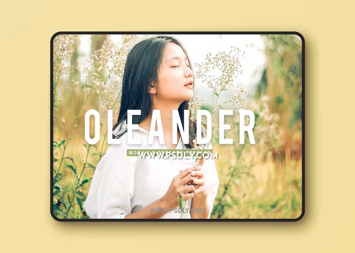 Oleander Mobile & Desktop Lightroom Presets K28DMF7