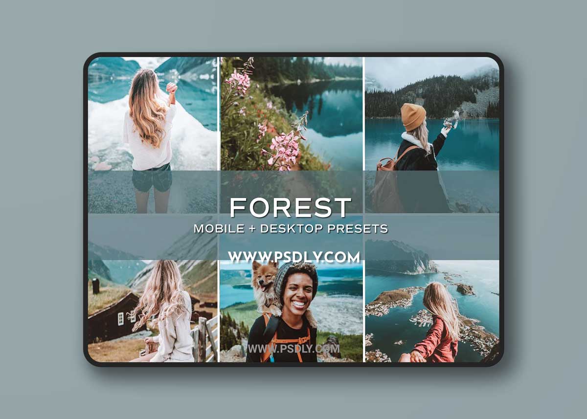 CreativeMarket - 5 Forest Lightroom Presets 5699079