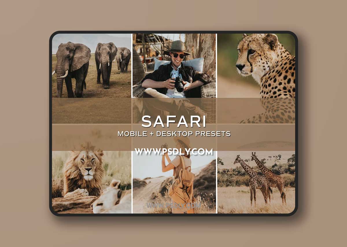 CreativeMarket - 5 Safari Lightroom Presets 5698736