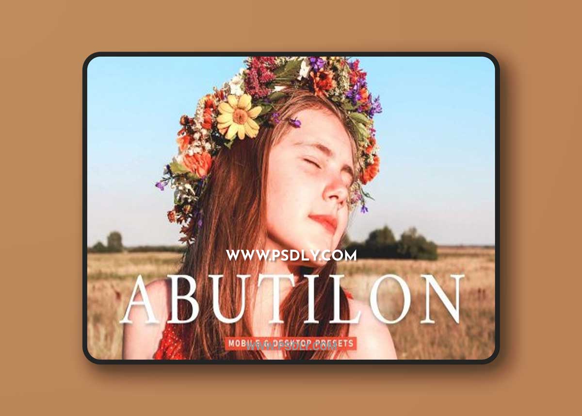 CreativeMarket - Abutilon Pro Lightroom Presets 6925550