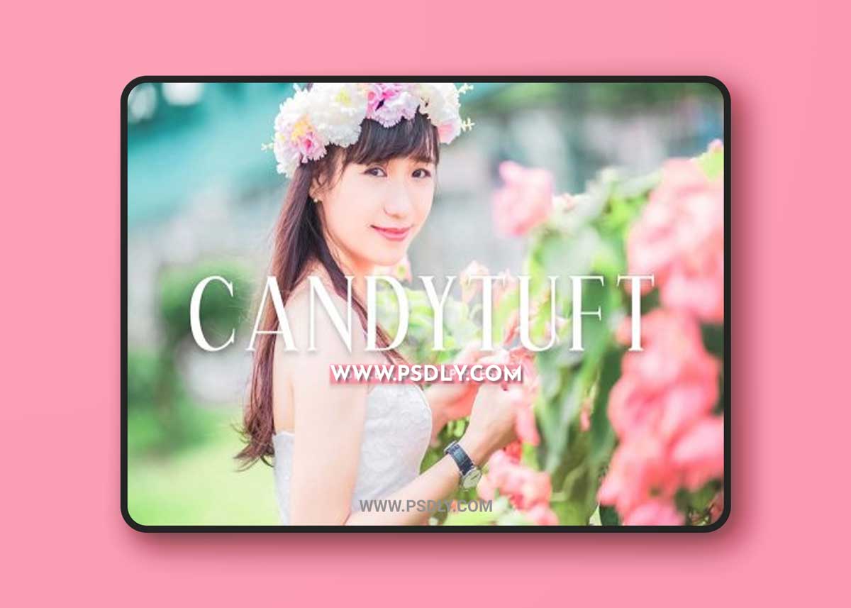 CreativeMarket - Candytuft Pro Lightroom Presets 6926793