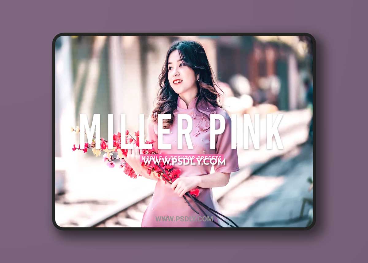 CreativeMarket - Miller Pink Pro Lightroom Presets 6924889