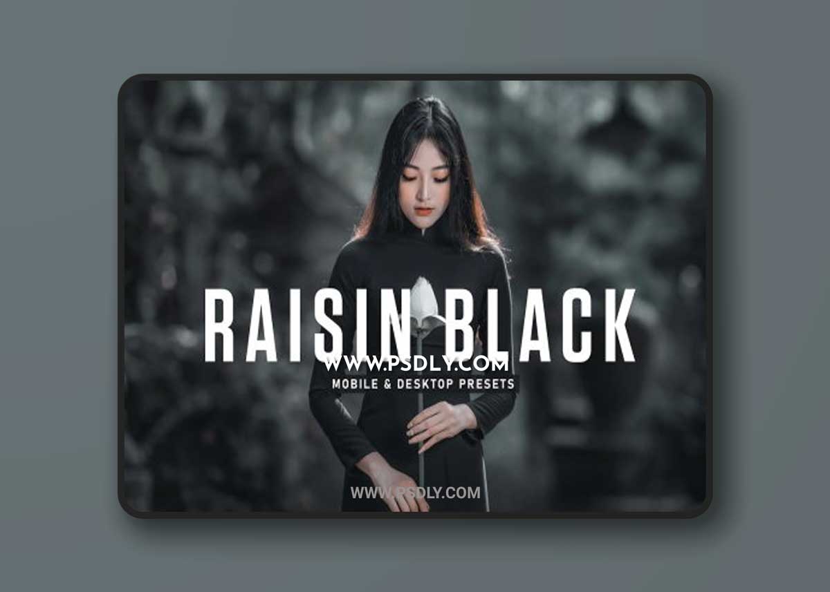 CreativeMarket - Raisin Black Pro Lightroom Presets 6924905