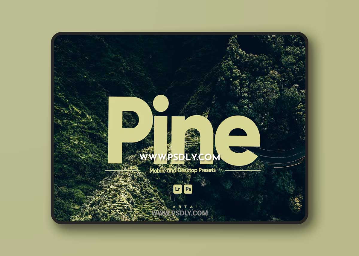 ARTA - Pine Presets for Lightroom