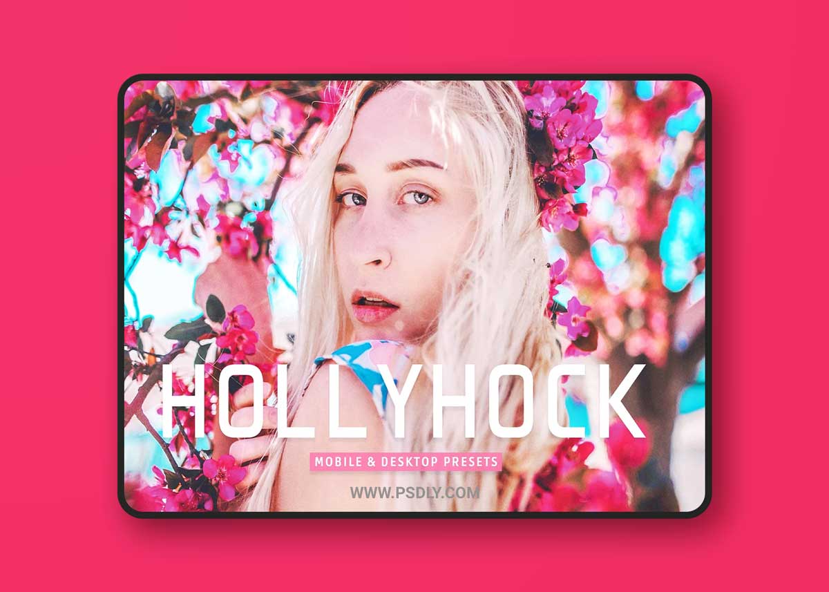 CreativeMarket - Hollyhock Pro Lightroom Presets 7039553