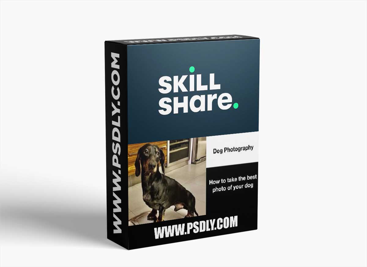 How to take the best photos of your dogs - Dog Photography