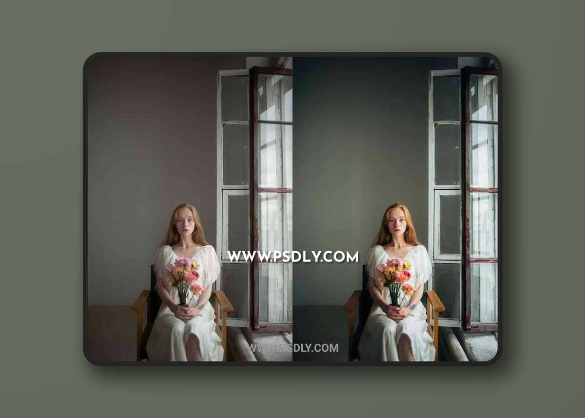 koleso_sobaki - Lightroom Presets + Action