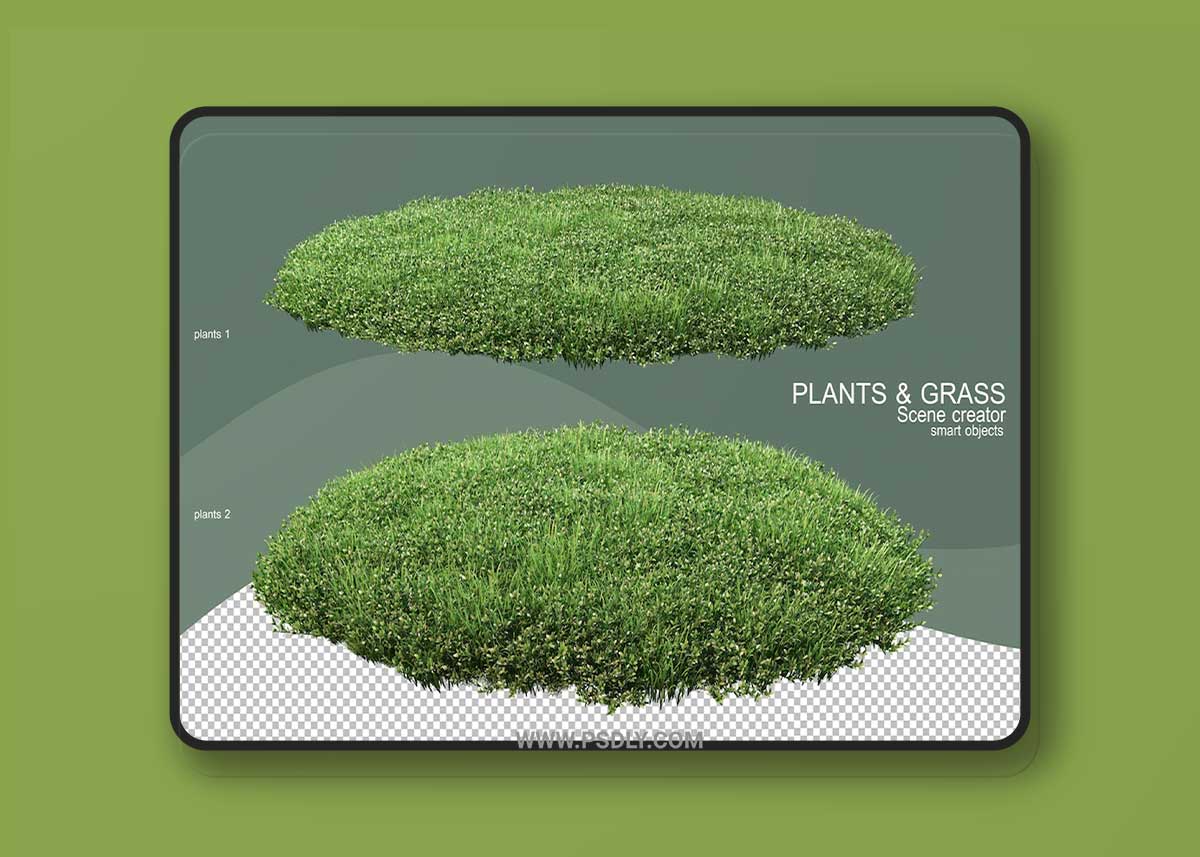 3d rendering various types of bush PSD 3D Model