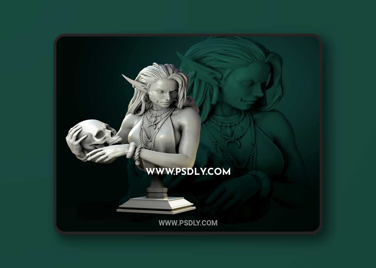 3D Print Models Laedria the Necromancer Bust