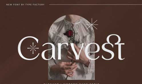 Carvest - Elegant & Modern Sans Serif