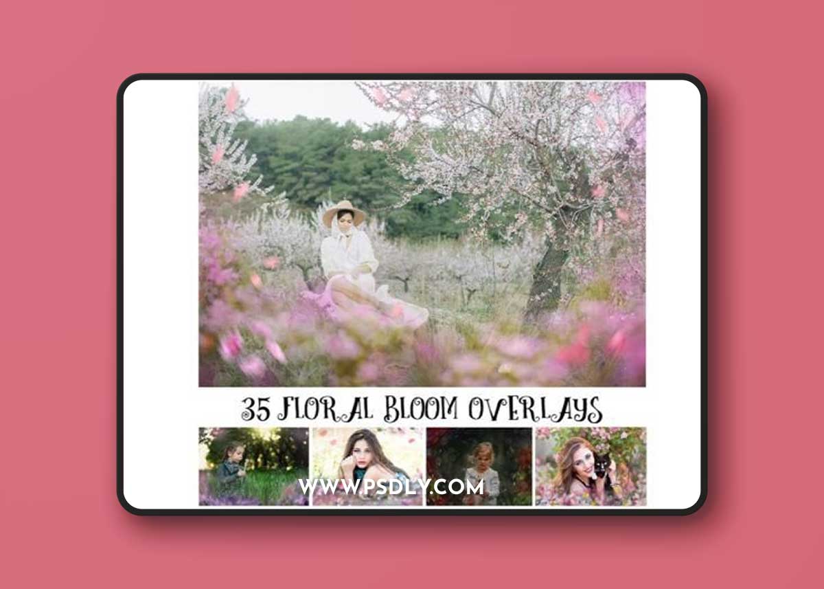 Floral Bloom Overlays, Spring Overlays
