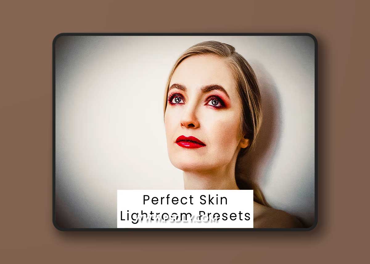 Perfect Skin Lightroom Presets
