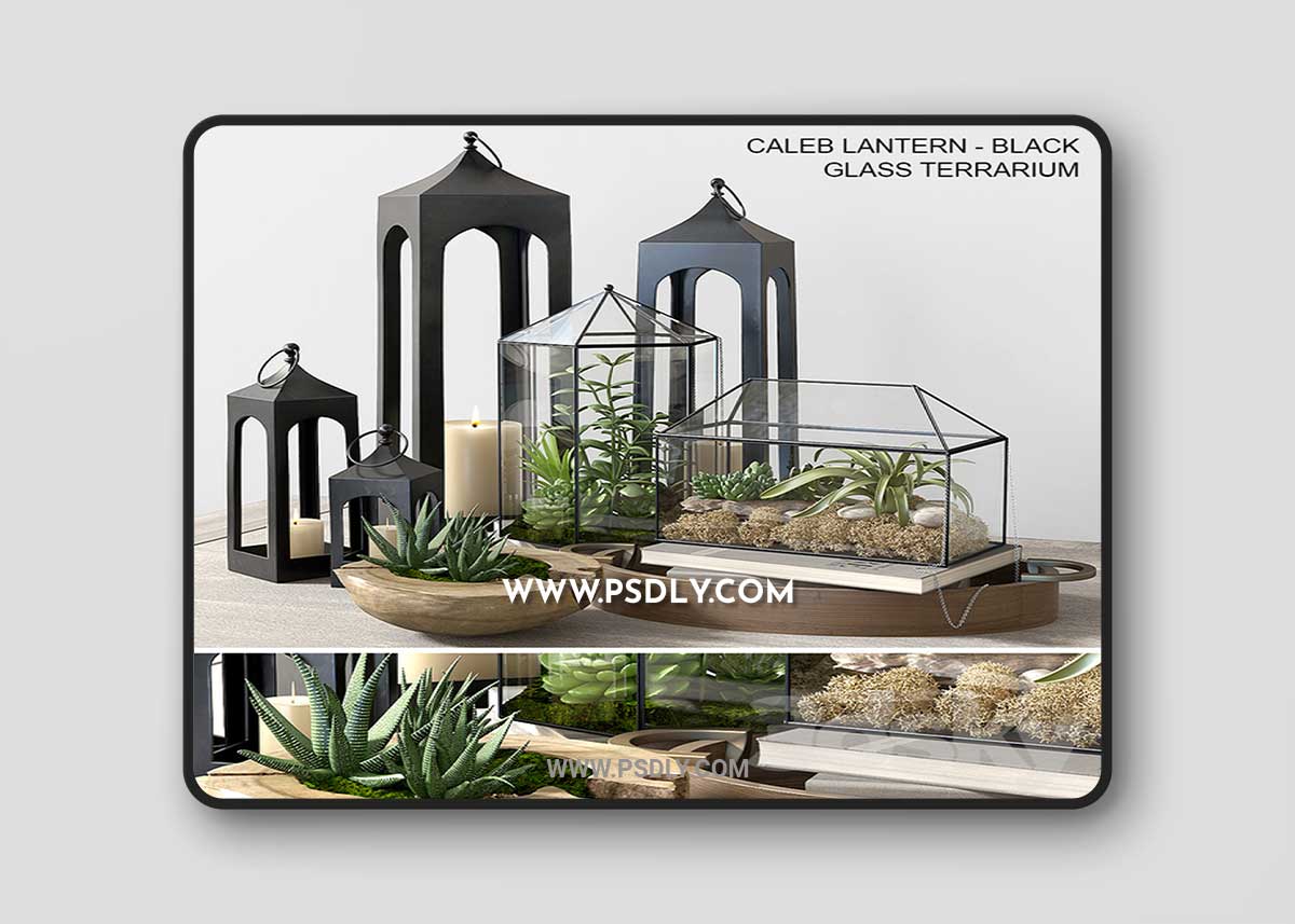 Pottery barn GLASS TERRARIUM 3D Model