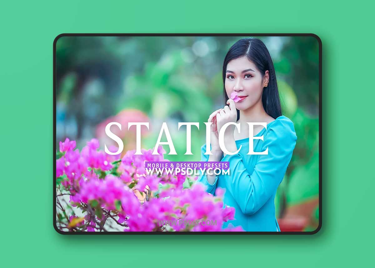 CreativeMarket - Statice Pro Lightroom Presets 7387228