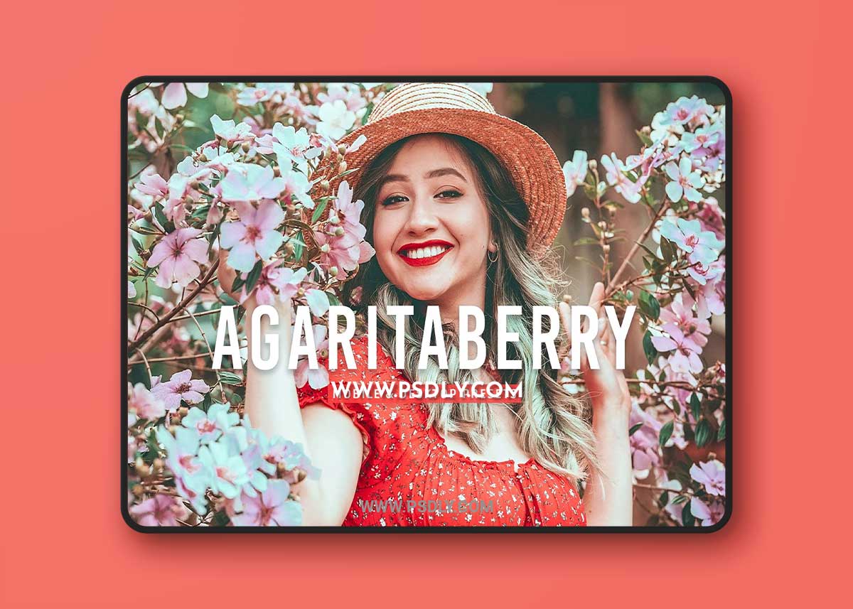CreativeMarket - Agaritaberry Pro Lightroom Presets 7469771