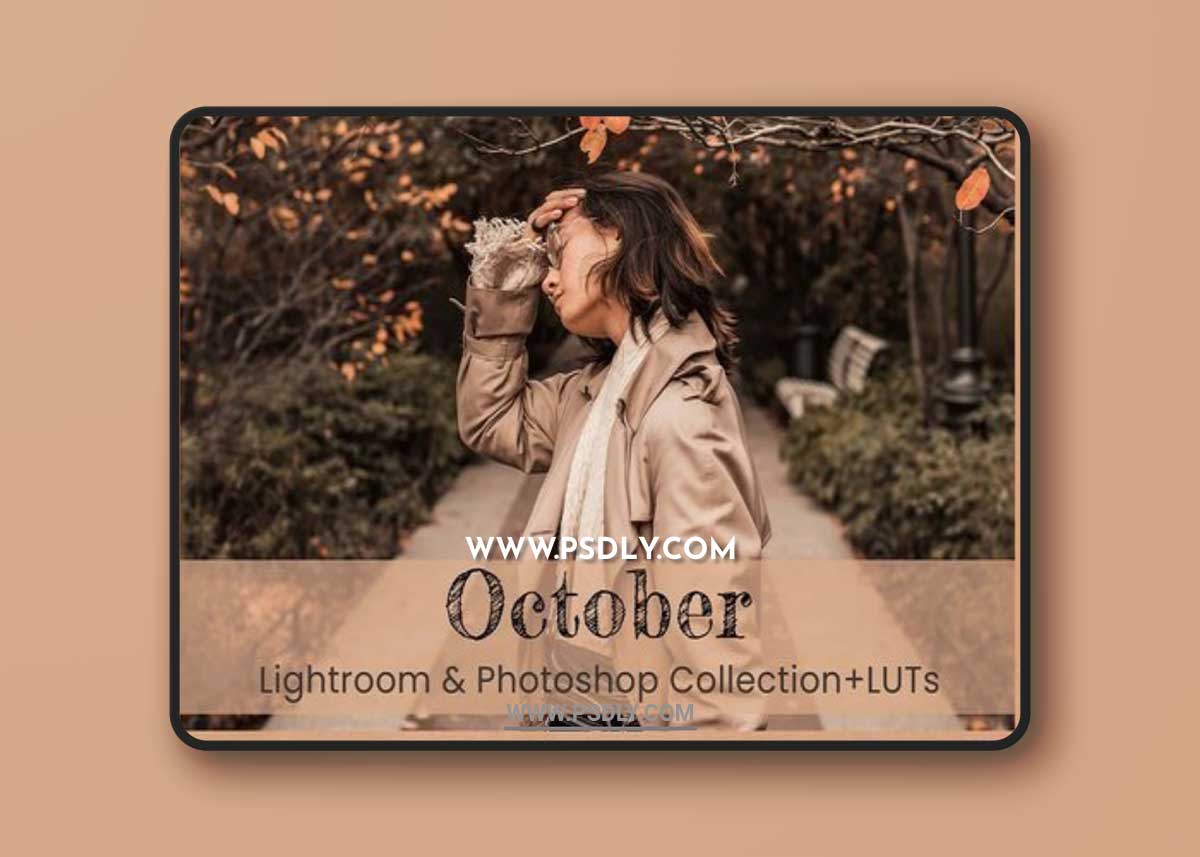 CreativeMarket - 8 October Lightroom Presets 10268702