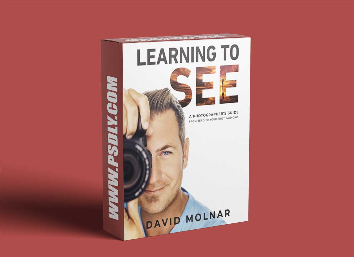Learning To See by David Molnar