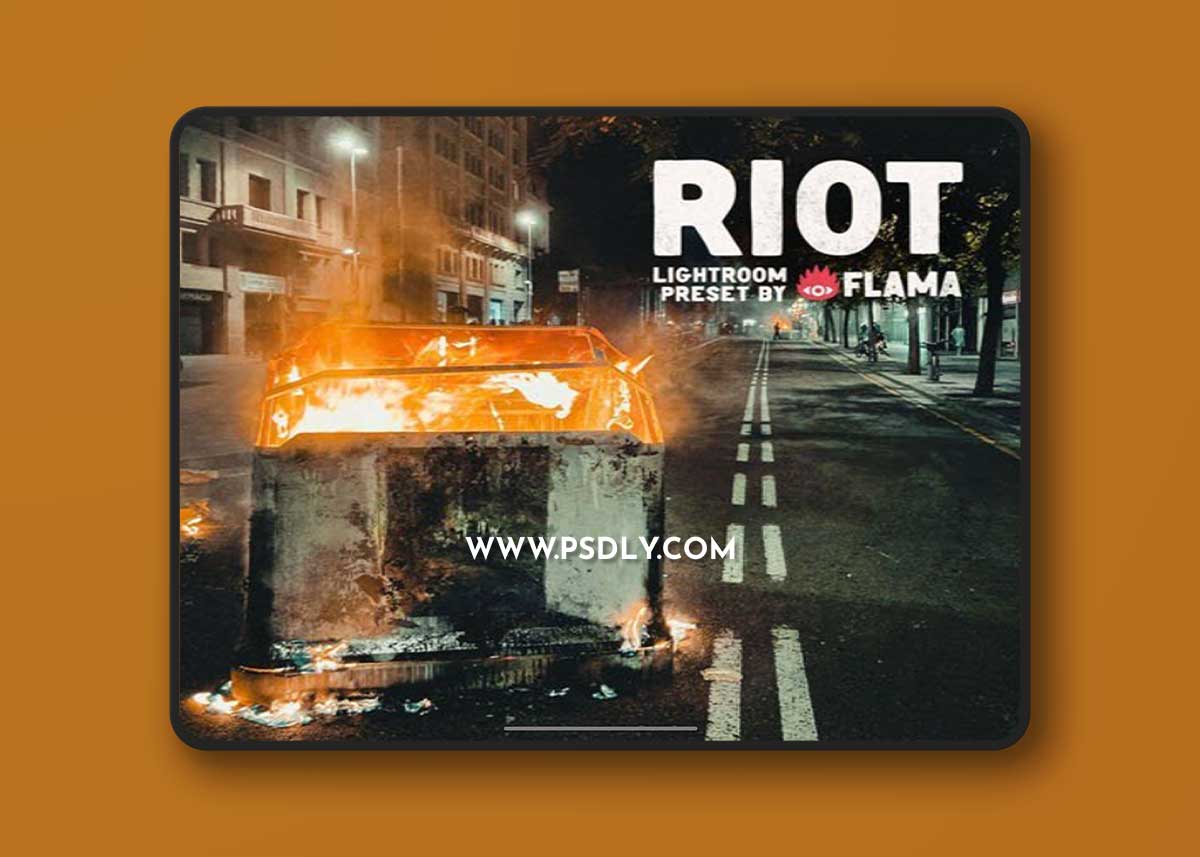 RIOT Lightroom Presets [Mobile/Desktop]