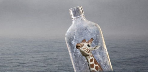Photoshop 2023 Essential Training 2 image 23