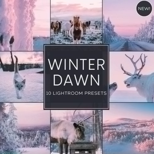 Woodland - Winter Dawn Lightroom Presets Pack 3 image 255