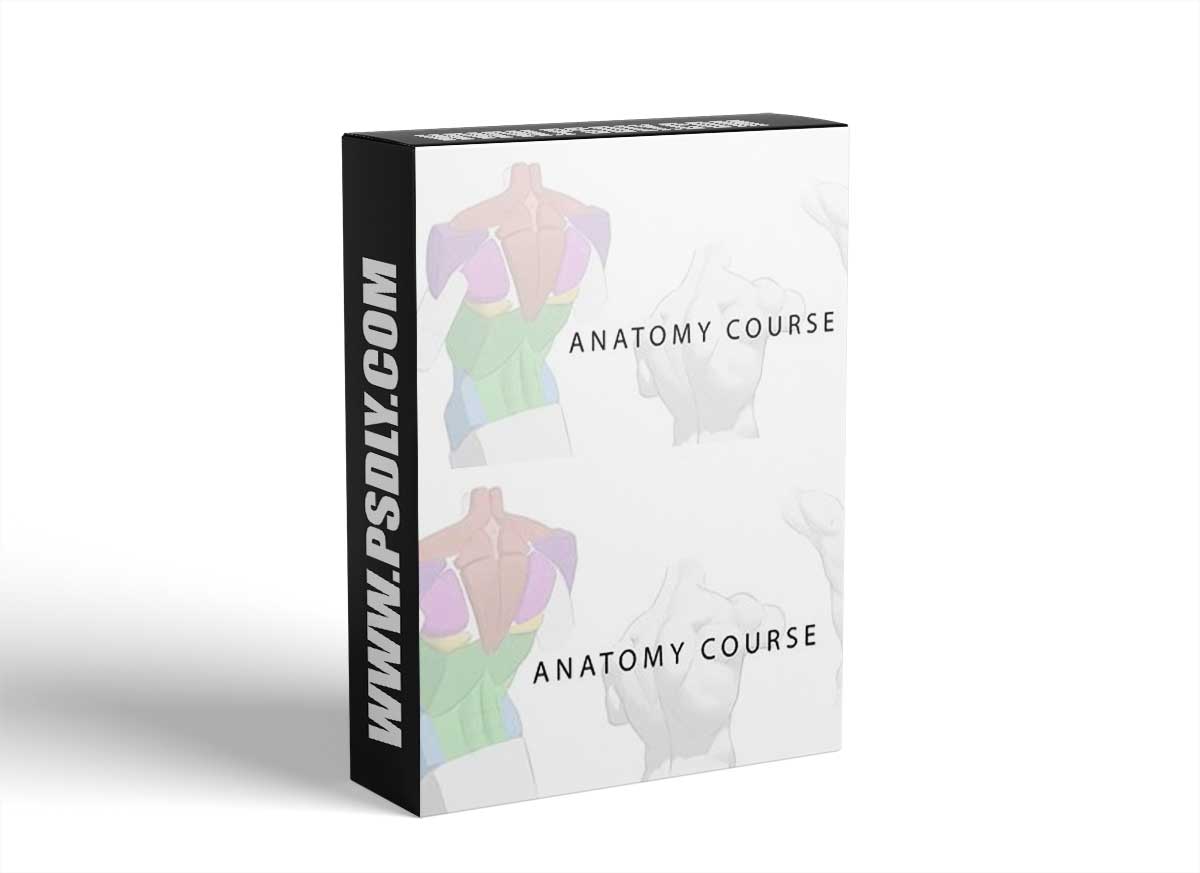 Art-Wod Anatomy for Concept Artists by Antonio Stappaerts