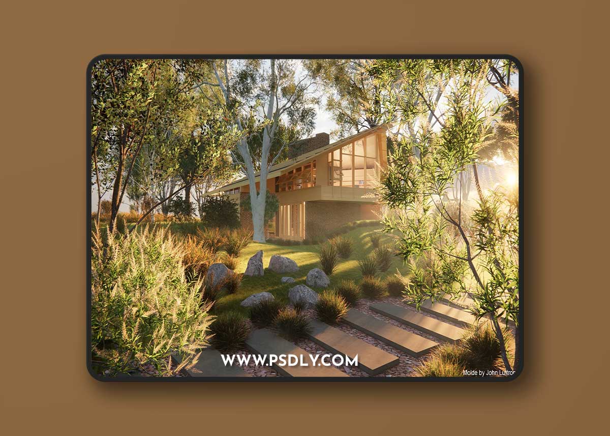 Globe Plants - Bundle 41 - Australian Wild Plants