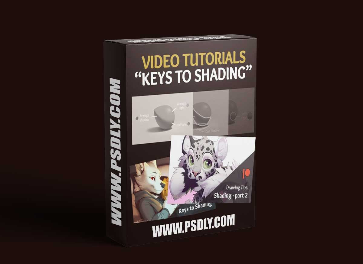 Ko-fi - Nordeva - Keys to Shading videotutorials