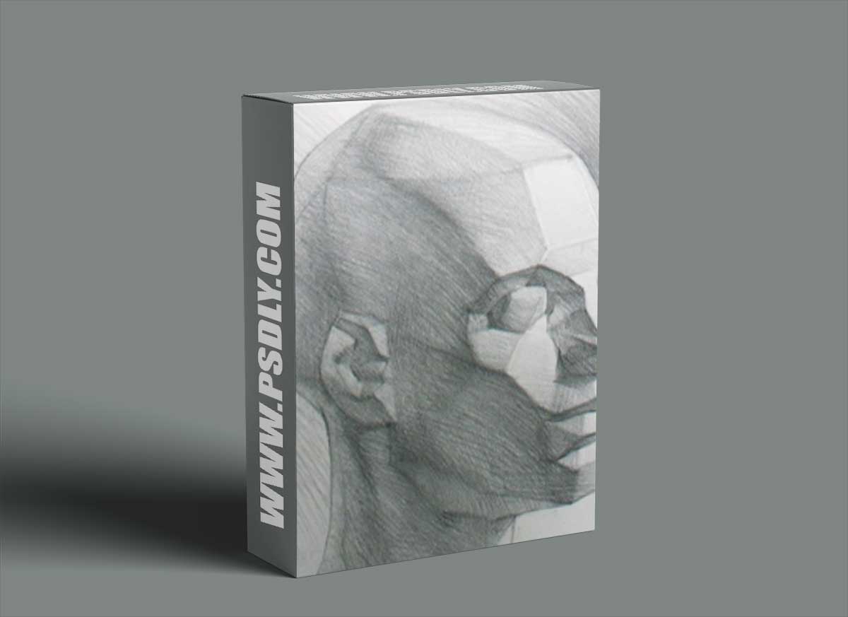 New Masters Academy - How to Draw the Asaro Planes of the Head with Iliya Mirochnik