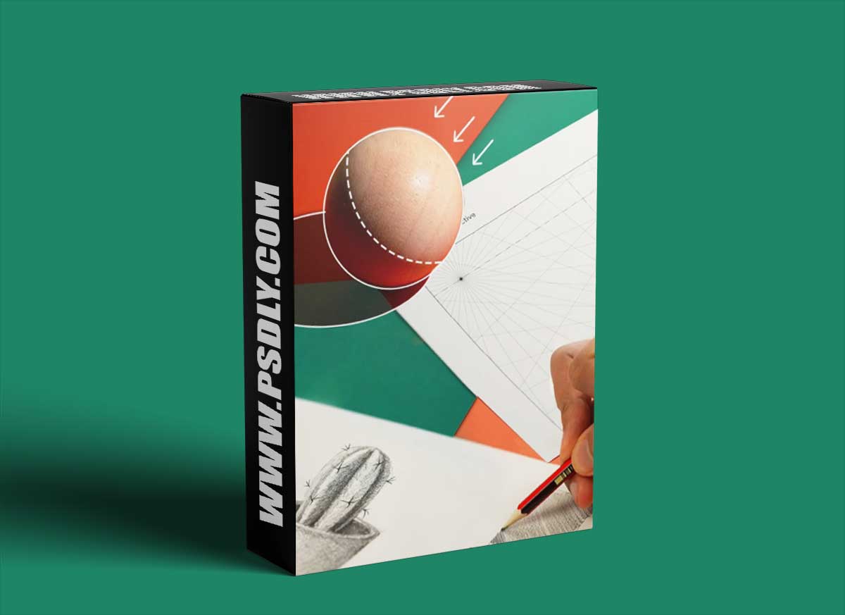 Drawing for Beginners: Learn How to Draw Anything