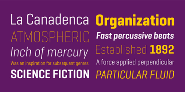 Geogrotesque Condensed Series Full Family