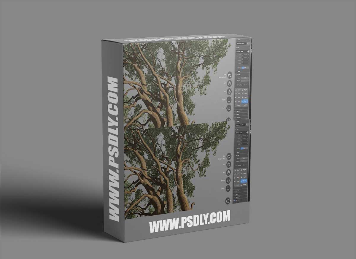 Grove 11