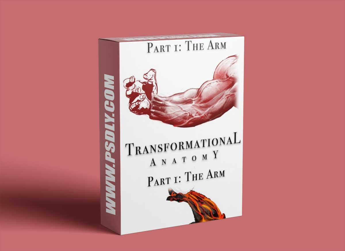Gumroad - Transformational Anatomy Part 1: The Arm - Steven Zapata
