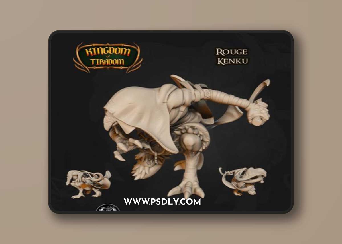 Kenku Rogue – 3D Print Model